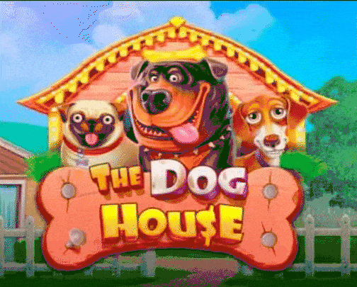play The Dog House in casinospinit